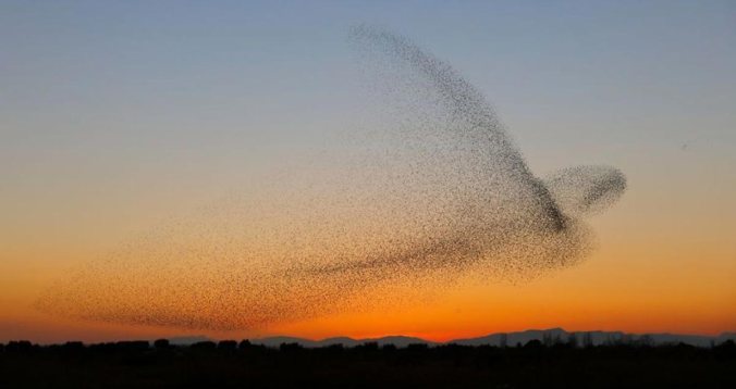 Photograph Daniel Biber